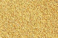 Mustard Seeds Manufacturer Supplier Wholesale Exporter Importer Buyer Trader Retailer in MORBI  India